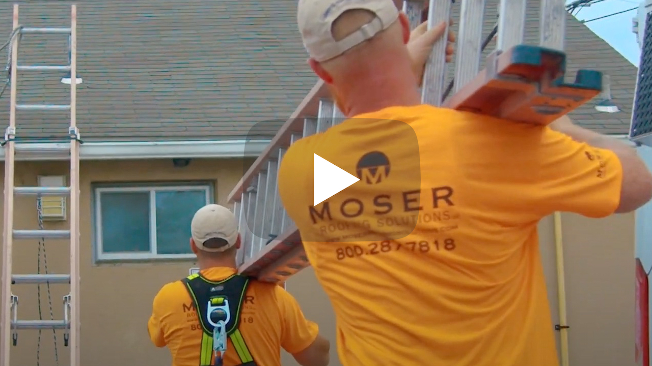 roofing team with ladders