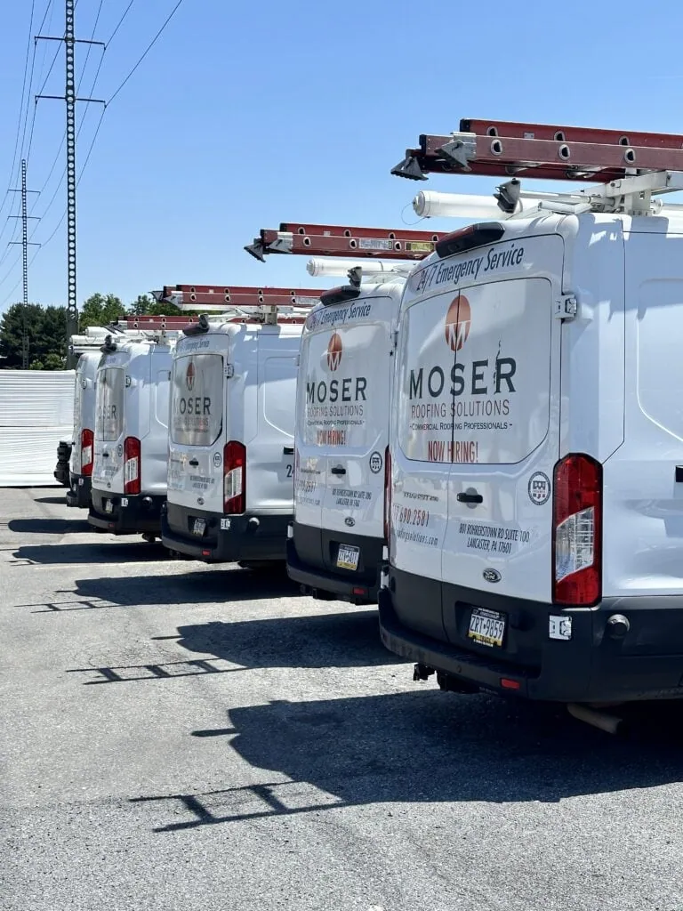 a row of white vans